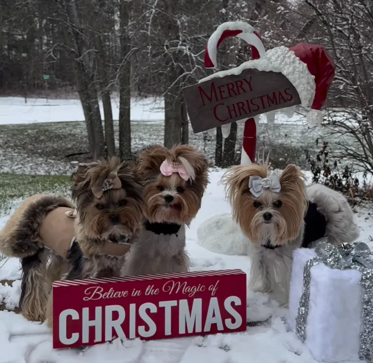 Njezina priča jo&scaron; jednom podsjeća da ljubav prema kućnim ljubimcima može poprimiti razne oblike, a njezina posvećenost sigurno neće biti zaboravljena.