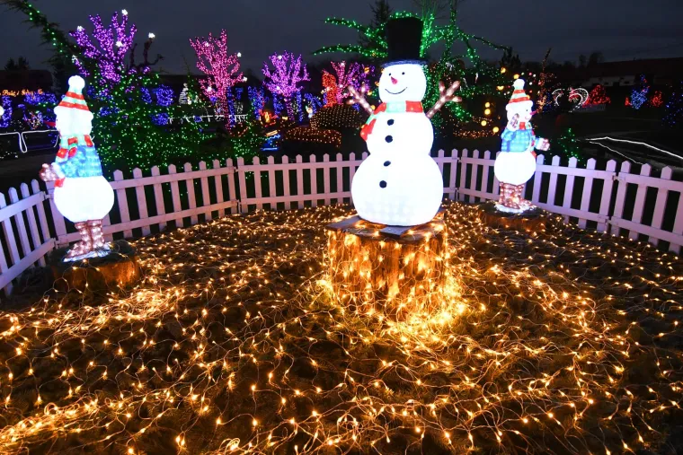 Čarolija svijetla s 5,5 milijuna lampica: Magično imanje privlači brojne posjetitelje