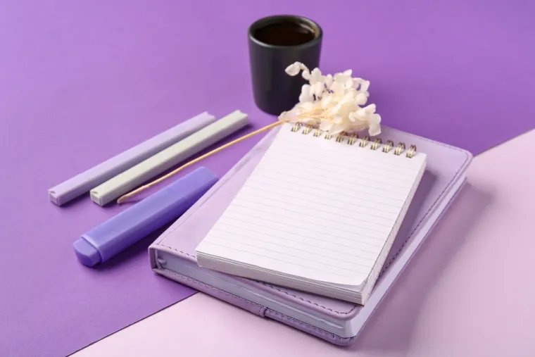 DIARIES I PLANER SETOVI - Bili su posebno popularni božićni pokloni, omiljeni među djevojčicama, tinejdžerima, pa čak i odraslima. Ovi pokloni nudili su savršen spoj praktičnosti i osobnosti, a dolazili su u šarenim, često tematskim izdanjima koja su ih činila neodoljivima.