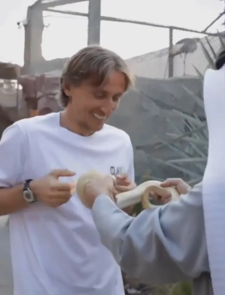 Modrić mazio orla, hranio tigra i pozirao sa zmijama, no jedna će fotografija jako naljutiti njegovog prijatelja