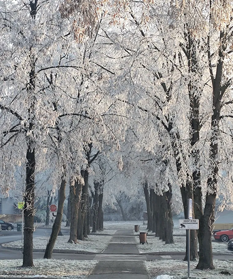 Đakovo