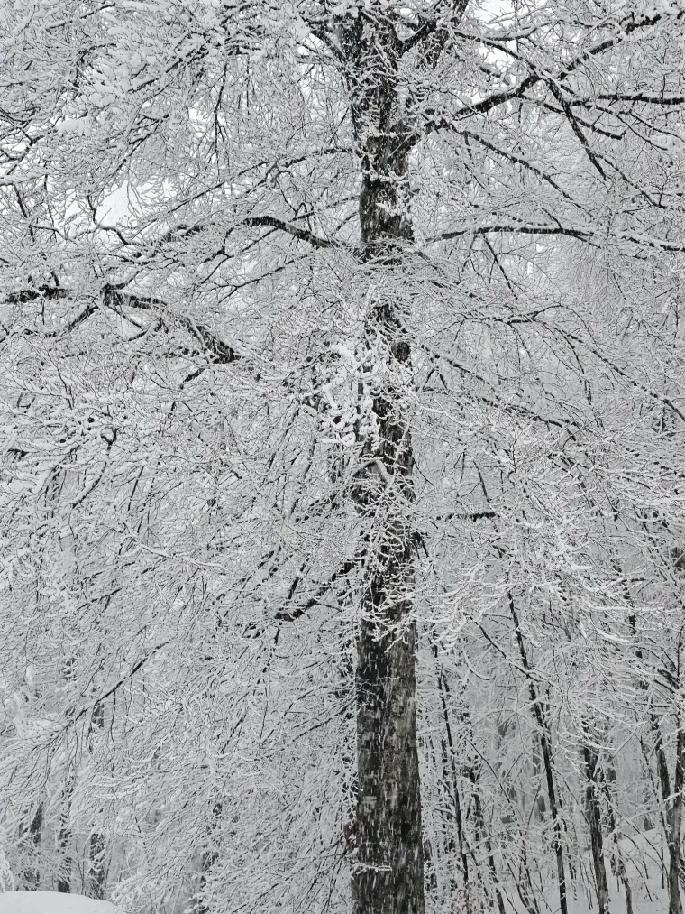Zimska idila diljem Hrvatske! Pogledajte najbolje fotografije koje ste podijelili s nama