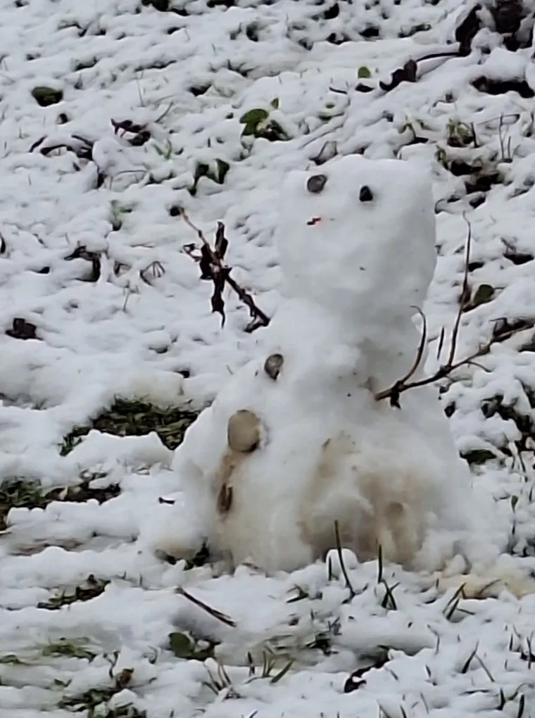 Zimska idila diljem Hrvatske! Pogledajte najbolje fotografije koje ste podijelili s nama