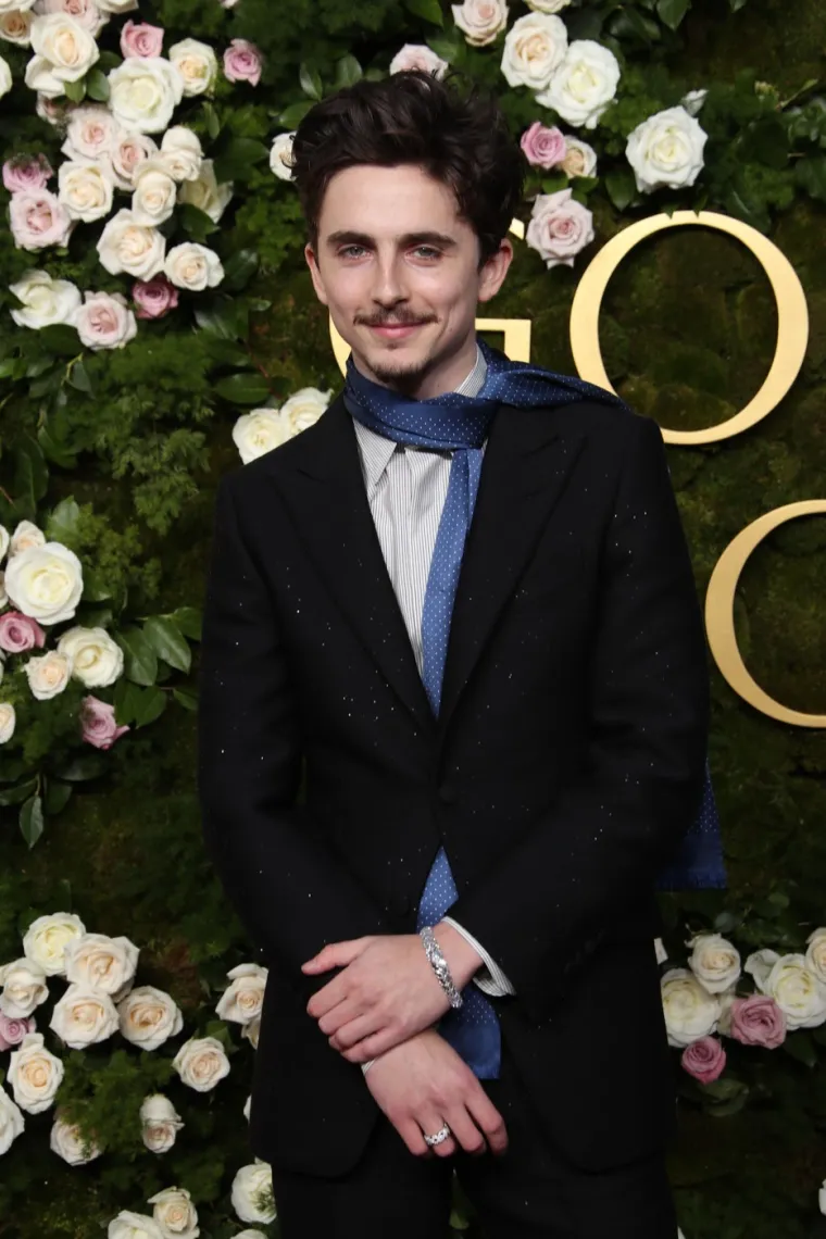 Timothée Chalamet nominiran je u kategoriji &quot;najbolja izvedba glumca u igranom filmu — drama&quot;