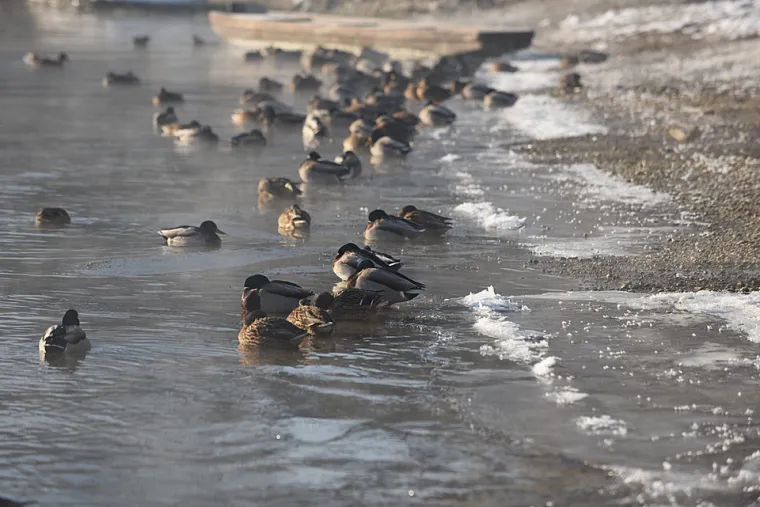 Danas najtopliji grad u Hrvatskoj, a prije osam godina centar zime: Razlika je u čak 34.5 stupnja