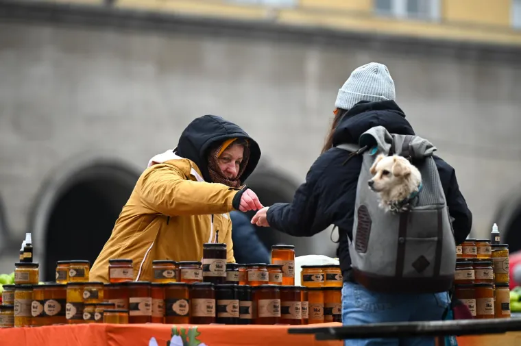 Psić se nalazi u ruksaku.