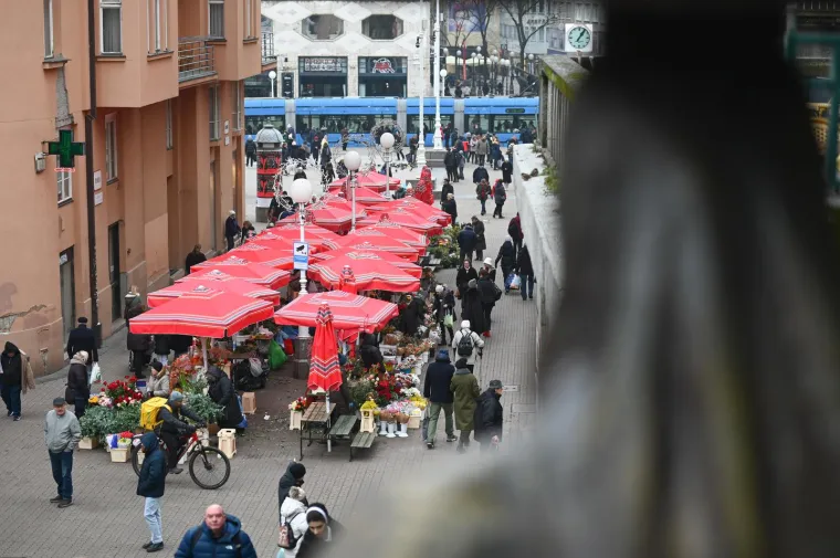Preslatki psići razveselili Zagrepčane: Ni tmurno vrijeme nije pokvarilo osmijehe