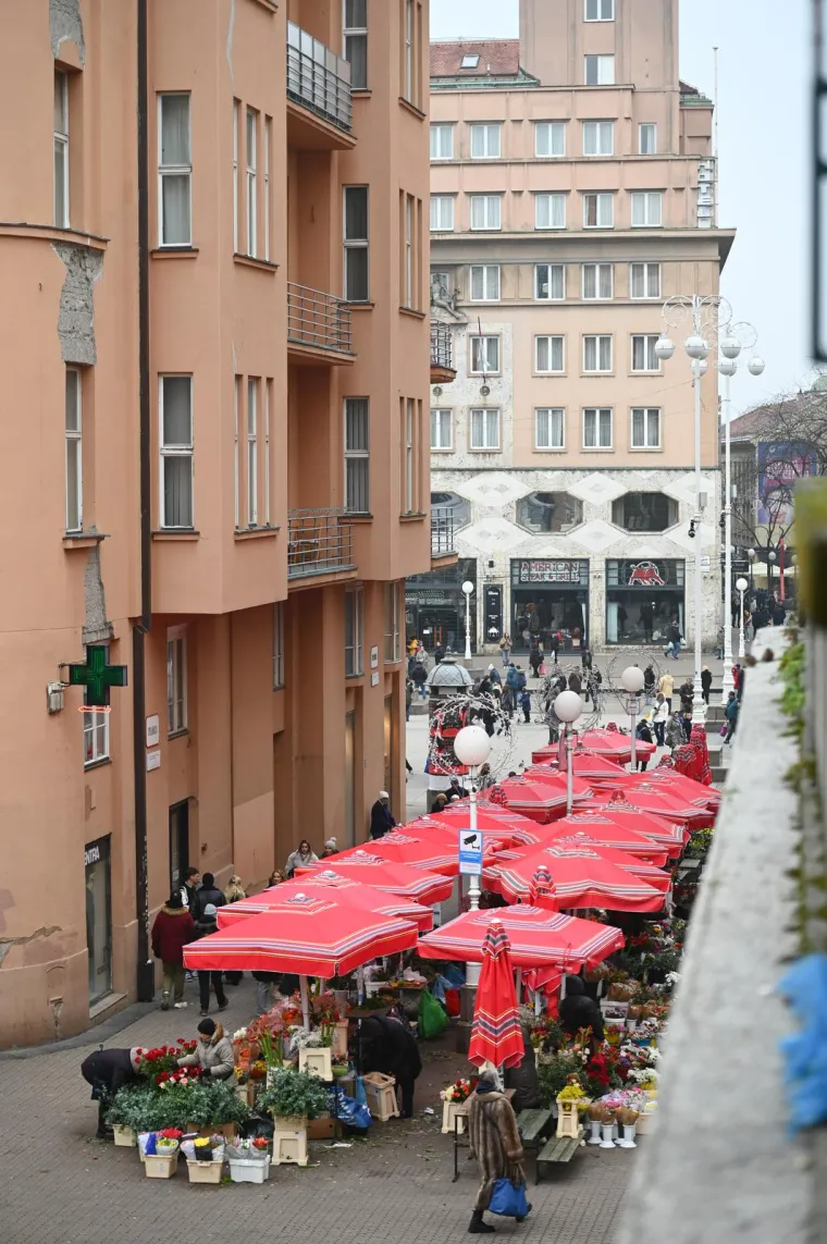 Preslatki psići razveselili Zagrepčane: Ni tmurno vrijeme nije pokvarilo osmijehe