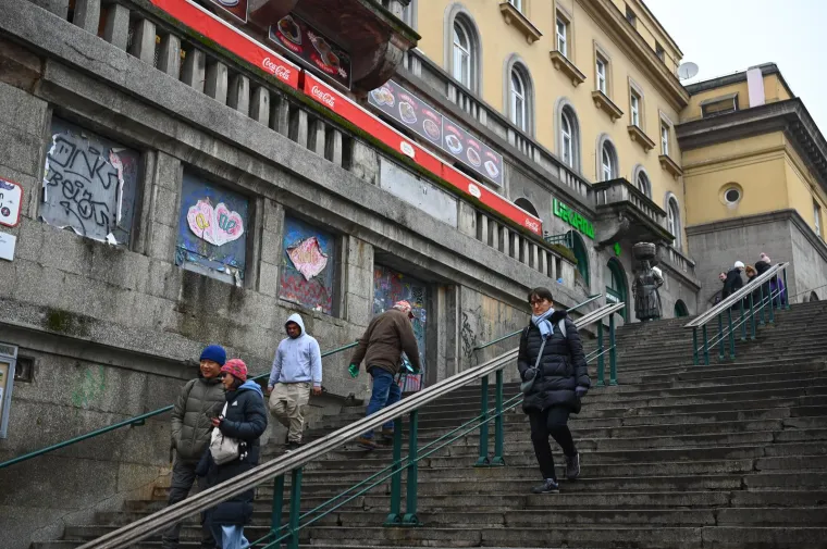 Preslatki psići razveselili Zagrepčane: Ni tmurno vrijeme nije pokvarilo osmijehe