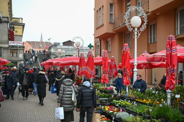Preslatki psići razveselili Zagrepčane: Ni tmurno vrijeme nije pokvarilo osmijehe