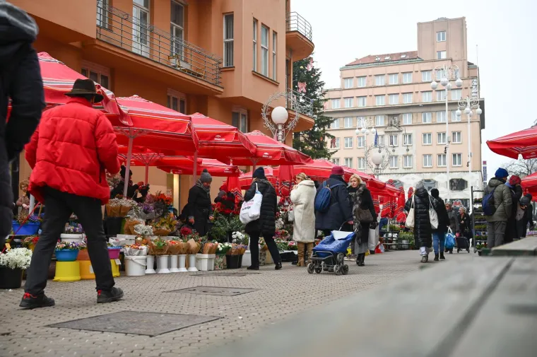 Preslatki psići razveselili Zagrepčane: Ni tmurno vrijeme nije pokvarilo osmijehe