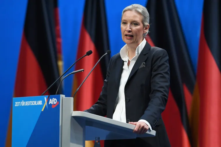 Weidel, koja je deklarirana homoseksualka, najavila je i rat rodnim studijima i otpuštanje nastavnog osoblja na njima.