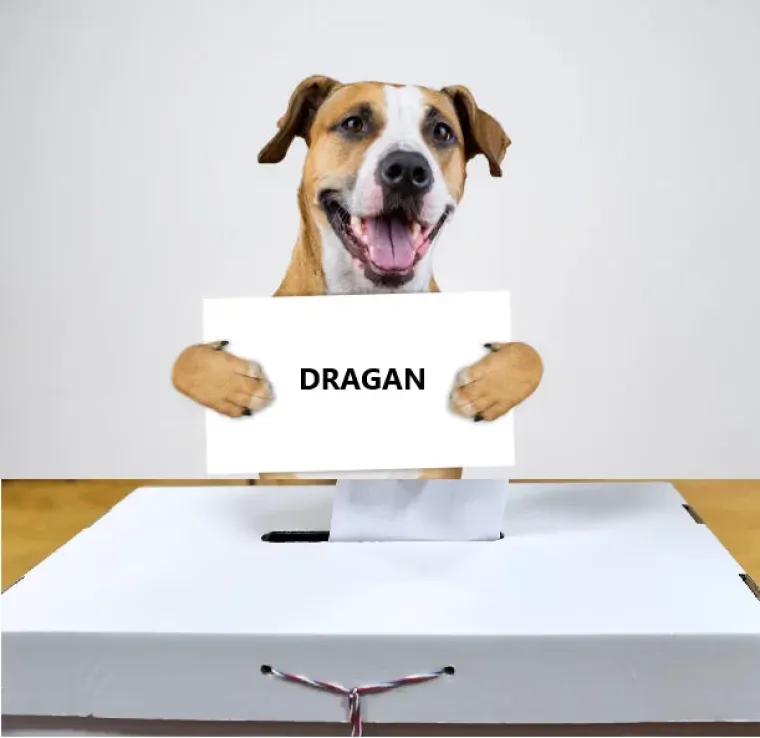 &quot;Ovo je dobar potop HDZ-a, Milanovićev tsunami ga je pregazio. Prije svega - loš kandidat. Imaju problem s kandidatom koji nije mogao otići prema desno, nije mogao dobiti sve glasove HDZ-a, čiji je rejting puno veći. Treba upozoriti - imat ćemo dijasporu, koje izlazne ankete nemaju. Vidjet ćemo, možda će se na kraju manje smanjiti. Da i ostane 75:25, do čega bi moglo doći, to je katastrofa za HDZ&quot;, rekao je izborni komentator RTL-a Krešimir Macan.