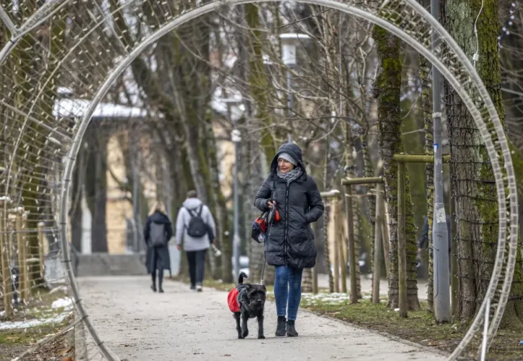 A što je s čovjekovim najboljim prijateljem? I oni su izašli na ulice i pravili društvo svojim vlasnicima. 