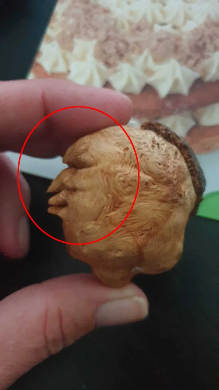 Lice Donalda Trumpa primijećeno je i u komadu kore drveta, a majke i kćeri otkrile su ovaj neobičan prizor. Desetogodišnja djevojčica Caragh Doyle uočila je sličnost tijekom igre, a nakon nastave, Caragh je podigla komad kore i odnijela ga kući. 
Majka Michelle je odmah prepoznala oblik koji nalikuje prepoznatljivom profilu američkog predsjednika. &apos;&apos;Svi smo se složili da stvarno liči na njega. Pokazala sam joj i ona je odmah to shvatila, zna tko je Donald Trump&apos;&apos;, izjavila je Michelle.