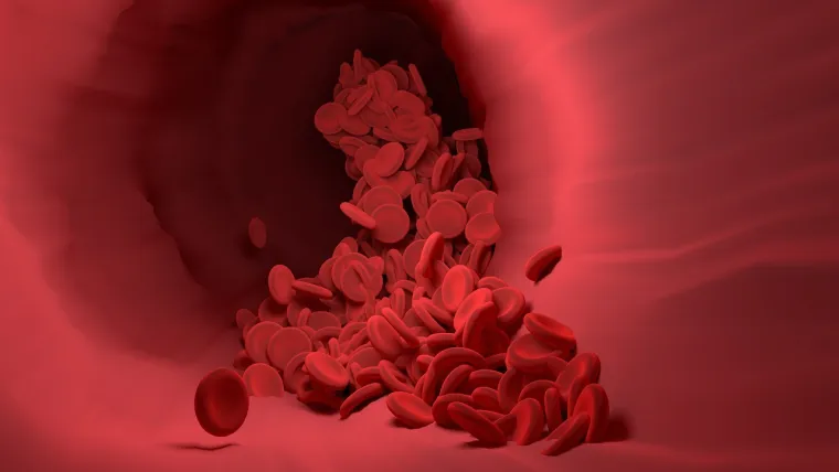 Određene crvene krvne stanice sadrže protein koji se zove rezus faktor (Rh faktor). Kada crvene krvne stanice posjeduju ovaj Rh faktor, kategorizirane su kao Rh pozitivne. Suprotno tome, ako im nedostaje ovaj faktor, kategorizirane su kao Rh negativne.