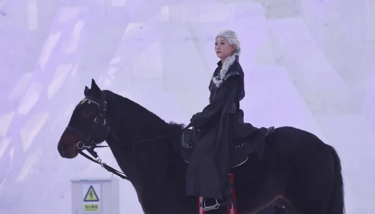 Snježno kraljevstvo iz bajki postoji i u stvarnosti: Ledene stepenice, ograde, kule...