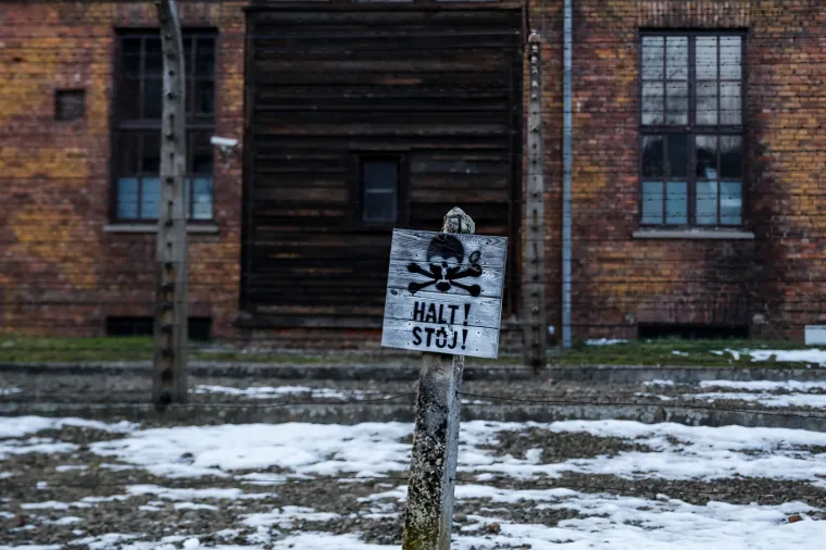 U Auschwitzu je nestalo 1,1 milijun života, a oni rijetki otkrit će užase koje su preživjeli... Možda zadnji put
