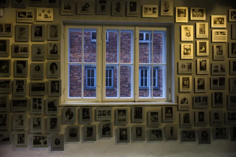 Neke ovo doba podsjeća na tridesete godine pro&scaron;log stoljeća. Od Italije koju vodi Giorgia Meloni, čelnica stranke Braća Italije do uspona Alternative za Njemačku (AfD), povratak ekstremne desnice ih užasava.