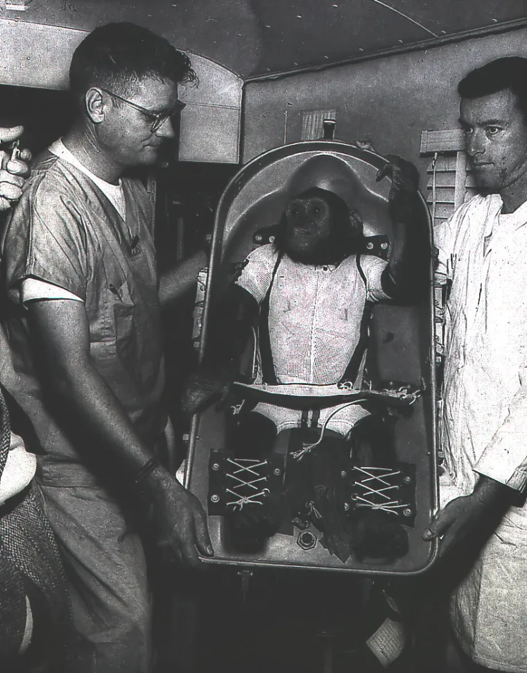 Ham, rođen oko 1957. godine u današnjem Kamerunu, odabran je među 40 čimpanza za sudjelovanje u NASA-inom programu Mercury, koji je predstavljao ključni korak u američkim nastojanjima da pošalju ljude u svemir.