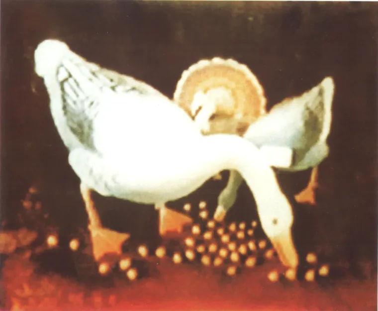 Slavko Stolnik, Guske i puran, 1970.