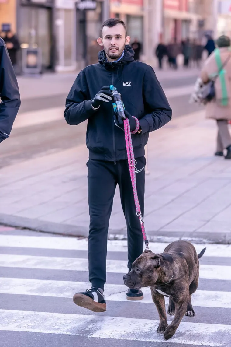 Zgodni momci melem su za oči i usamljena srca: Ovo su frajeri koji su ukrali pažnju