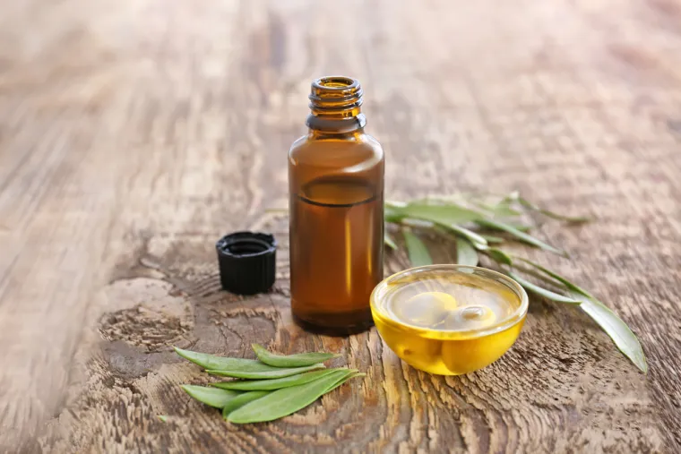 Moćni prirodni lijek s velikim potencijalom: Ekstrakt maslinova lišća pokazuje veliki potencijal kao prirodni lijek za mnoge zdravstvene probleme, poput smanjenja oksidativnog stresa, te podrške zdravlju srca i metabolizmu. 