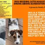 Na društvenoj mreži X objavljen je nestanak psa s korisnim podacima kako bi što prije došlo do pronalaska, a u cijelu potragu se uključila udruga Muddy Paws-Crime.