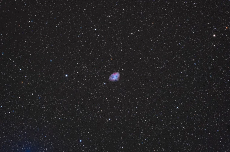 Maglica (Messier 1) je ostatak supernove koja je eksplodirala 1054. godine. Ostatak zvijezde u centru je neutronska zvijezda koja stvara pulsar. Fotografija prikazuje plavetnilo maglice.