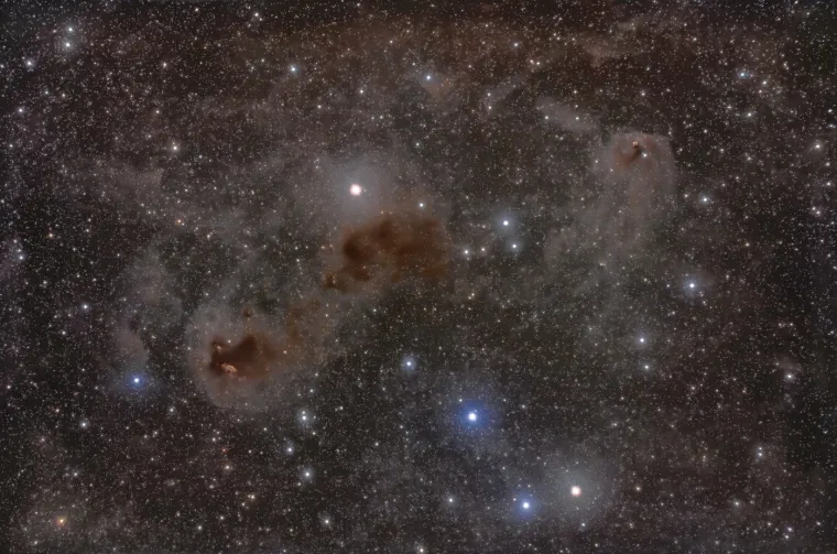 U skupu Hyades vidljive su prašne maglice, poput Sharpless 2-239 i NGC 1555. NGC 1555, otkrivena 1852. godine, poznata je po promjenjivoj svjetlosti. Ovaj skup zvijezda je smješten u zviježđu Bika.