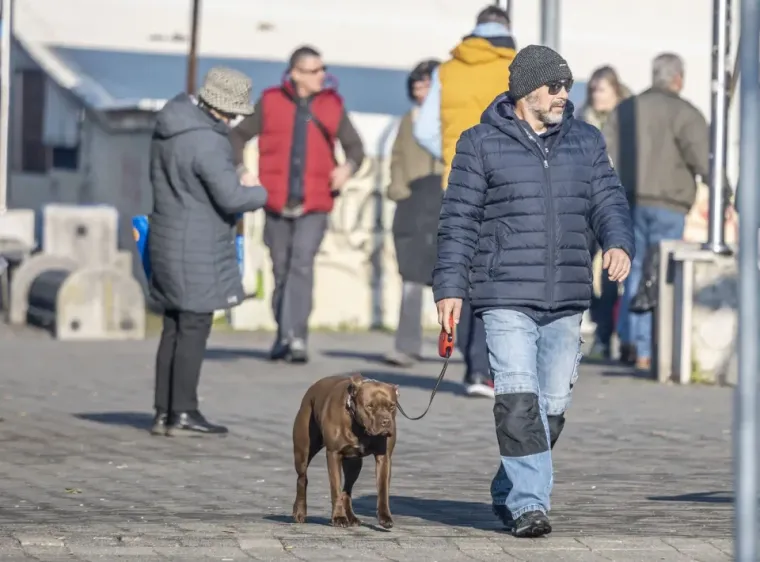 Vlasnici pasa su iskoristili prohladno, ali suho vrijeme kako bi prošetali i svoje četveronožne prijatelje.
