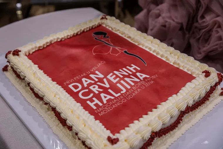 Poznate dame zablistale u dizajnerskim haljinama, razlog je baš jako važan!