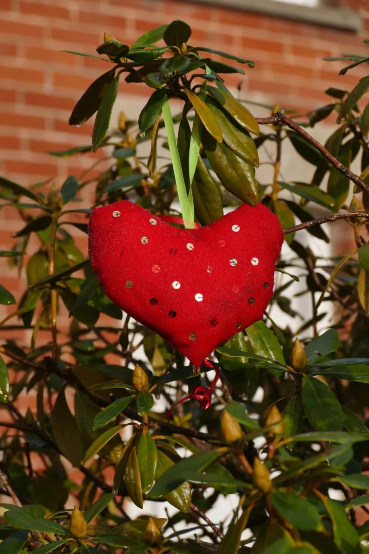 Nick Gibbs, jedan od ključnih organizatora, objasnio je strast koja stoji iza projekta: "U svijetu punom nevolja, vjerujemo u važnost ljubavi. Putem na&scaron;e po&scaron;tanske usluge stvorili smo oazu ljubavi i privrženosti te omogućili ljudima da izraze svoje osjećaje na opipljiv način".