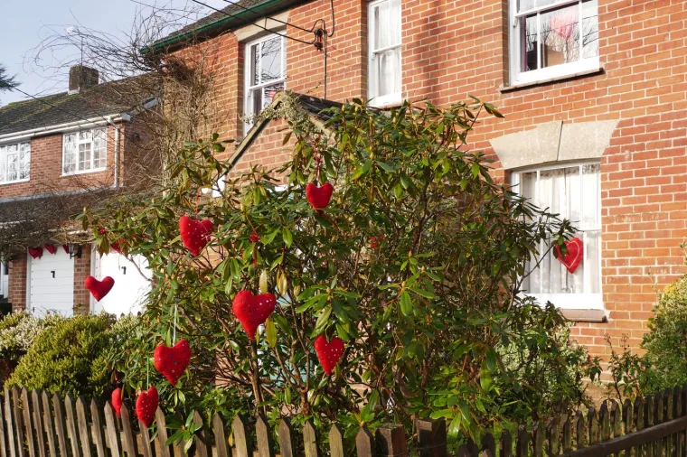 "Sav prihod od Loverove jedinstvene inicijative za Valentinovo podupire obnovu sela te prikazuje napore koje pokreće zajednica", istaknuo je.