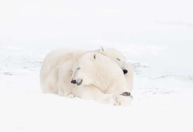 Najpopularnija legenda govori o rimskom svećeniku iz 3. stoljeća koji je potajno vjenčavao mlade parove, unatoč zabrani cara Klaudija II. Car je smatrao da su neoženjeni mu&scaron;karci bolji vojnici. Kada su Valentinove aktivnosti otkrivene, osuđen je na smrt.