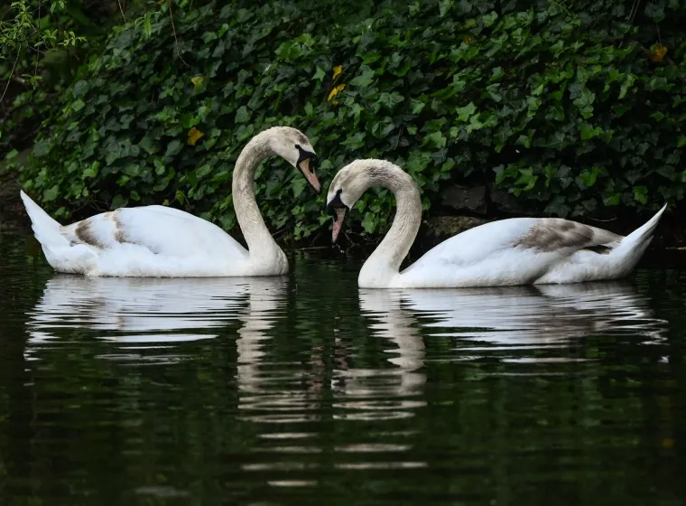 Druga legenda spominje svetog Valentina iz Ternija, biskupa, koji je također stradao od ruke Klaudija II.