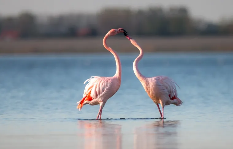 Postoji i priča o Valentinu koji je pomagao kr&scaron;ćanima da pobjegnu iz rimskih zatvora, gdje su bili mučeni. Navodno je Valentin, dok je bio u zatvoru, poslao prvu "valentinku" &ndash; pismo mladoj djevojci, vjerojatno kćeri svog tamničara, u koju se zaljubio. Pismo je potpisao riječima "Od tvog Valentina".