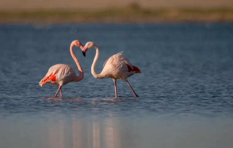 Iako su detalji o životu svetog Valentina nejasni, sve legende ističu njegovu romantičnu i herojsku prirodu. Upravo je ta reputacija, vjerojatno, pridonijela njegovoj popularnosti u srednjem vijeku, posebno u Engleskoj i Francuskoj.