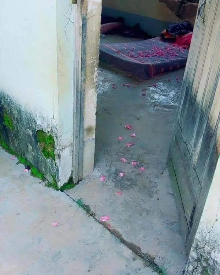 Ljubav pr&scaron;ti svuda oko nas, pa čak i u životinjskom svijetu: Njihovi zagrljaji i poljupci osvajaju srca