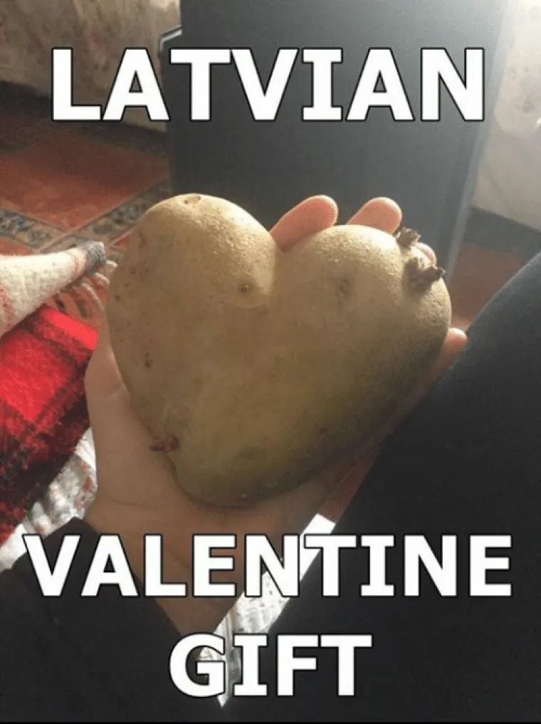 Ljubav pr&scaron;ti svuda oko nas, pa čak i u životinjskom svijetu: Njihovi zagrljaji i poljupci osvajaju srca