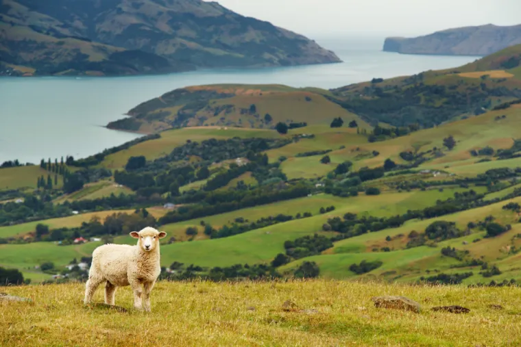 3. Novi Zeland: Grad Kaitangata nudi financijsku potporu u iznosu od oko 156.000 eura te besplatan smještaj poduzetnicima i radnicima koji se odluče preseliti. Ovaj program pokrenut je zbog manjka kvalificirane radne snage i problema s depopulacijom – grad ima samo 800 stanovnika.