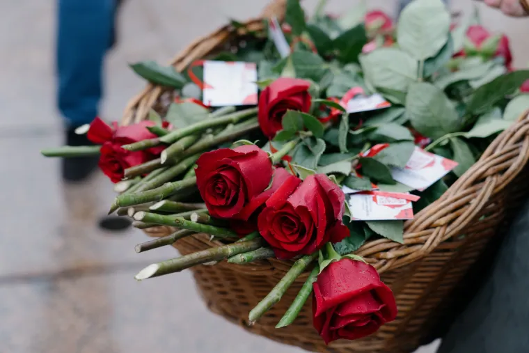 &Scaron;ime i Milo&scaron; iz showa "Gospodin Savr&scaron;eni"