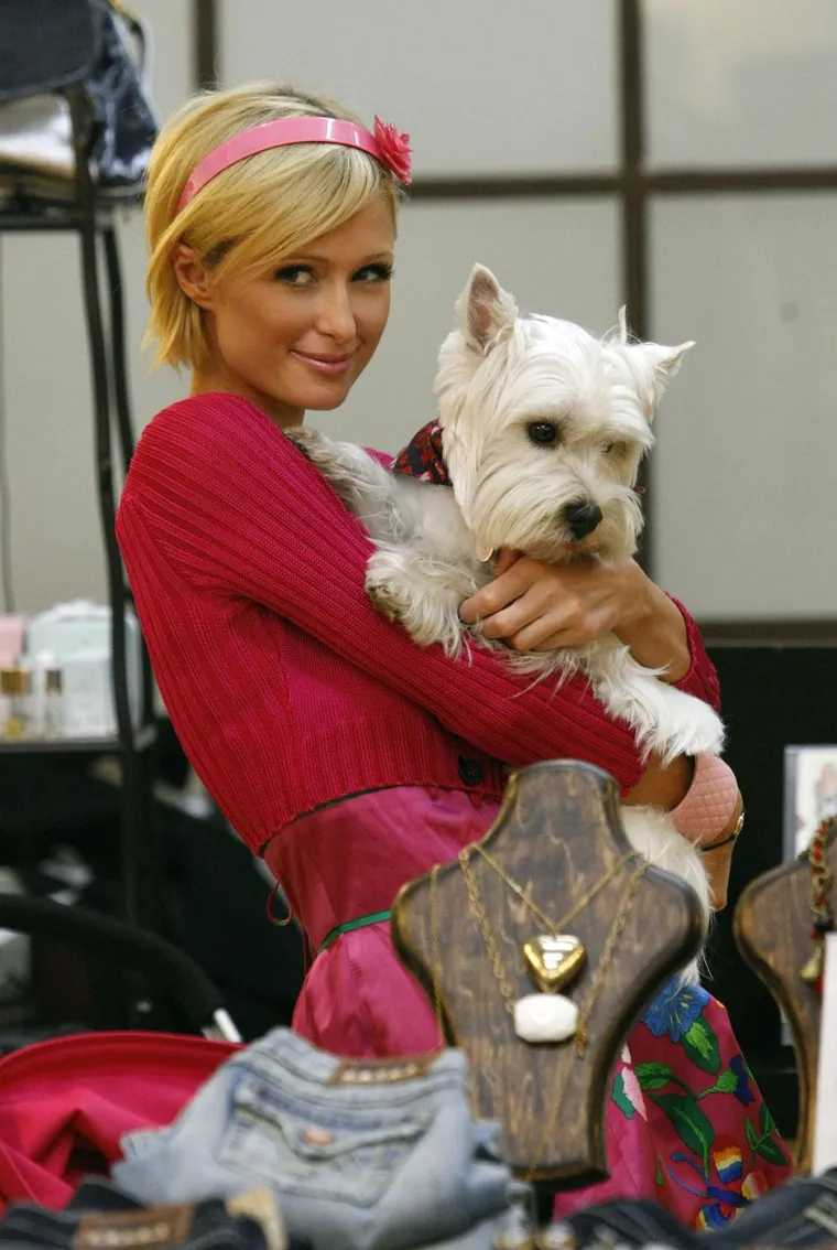 Ona je bila predvodnica starleta! Sjećate li se kako je Paris Hilton izgledala prije 20 godina?