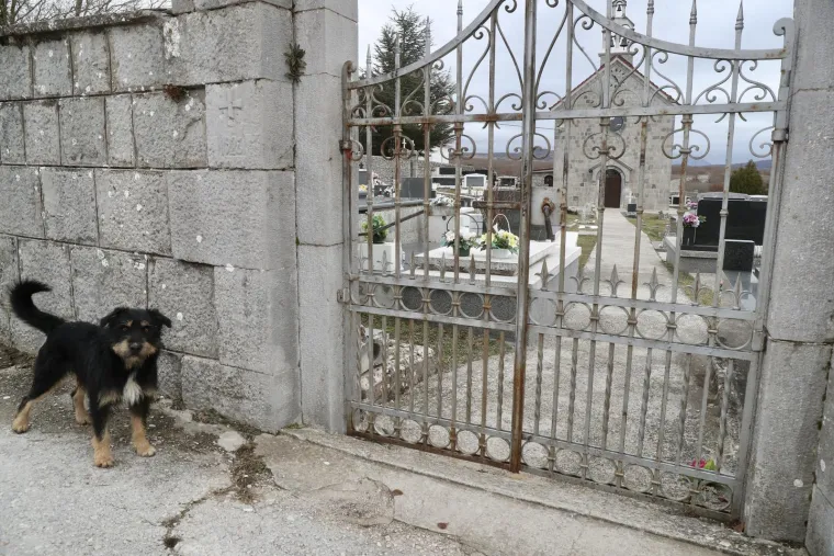 U malenom dalmatinskom mjestu Tijarica pas Bruno postao je simbol vjernosti i ljubavi koja ne prestaje ni nakon smrti. Otkako je njegov vlasnik preminuo, Bruno ga još uvijek neumorno traži tako što šeta centrom mjesta i obilazi groblje pored crkve sv. Duha.