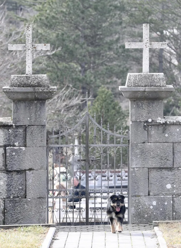 Psi, poznati po svojoj odanosti i ljubavi, razvijaju duboke veze sa svojim ljudima. Gubitak te veze može biti zbunjujuć, tužan i težak period, čak i ako brigu o životinji preuzme neki drugi čovjek. 