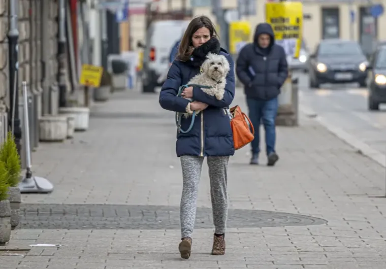 Neki su u šetnju poveli i svoje kućne ljubimce. 