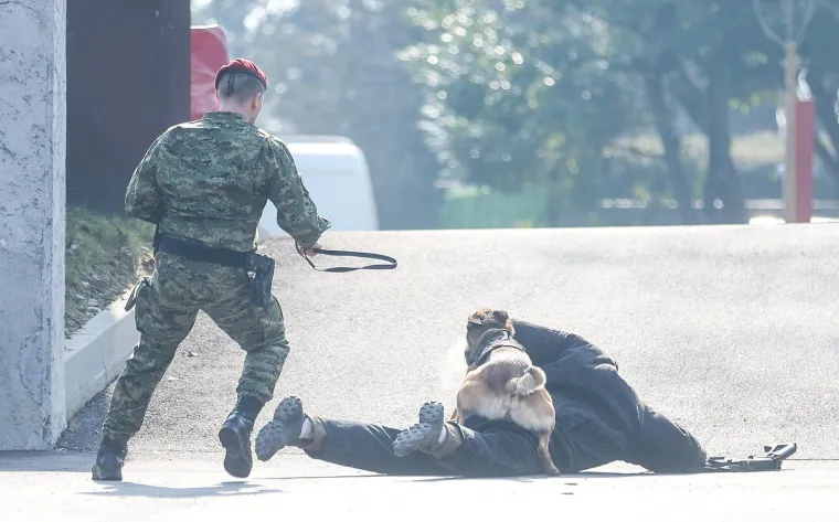 Noževi s hrvatskim grbom, snajperi i psi kao moćno oružje: Ovo je legendarna Počasna bojna