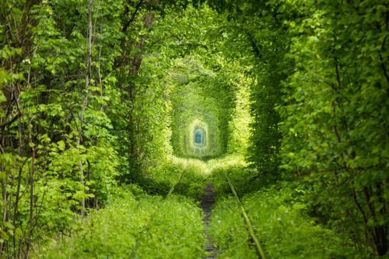 7. Tunel ljubavi (Ukrajina): Ovaj nevjerojatni tunel dug 7 kilometara, nastao je prirodnim putem, a mještani su ga prozvali &quot;tunelom ljubavi&quot;. Mjesto je postalo popularna atrakcija, prvenstveno među parovima. Prema legendi, ako prođu kroz tunel držeći se za ruke, time dokazuju svoju istinsku ljubav jedno prema drugome.