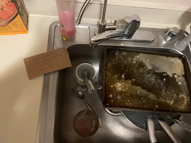 Upoznat ćete cimere kojima nikad nije bilo na kraj pameti oprati iza sebe suđe i posuđe...