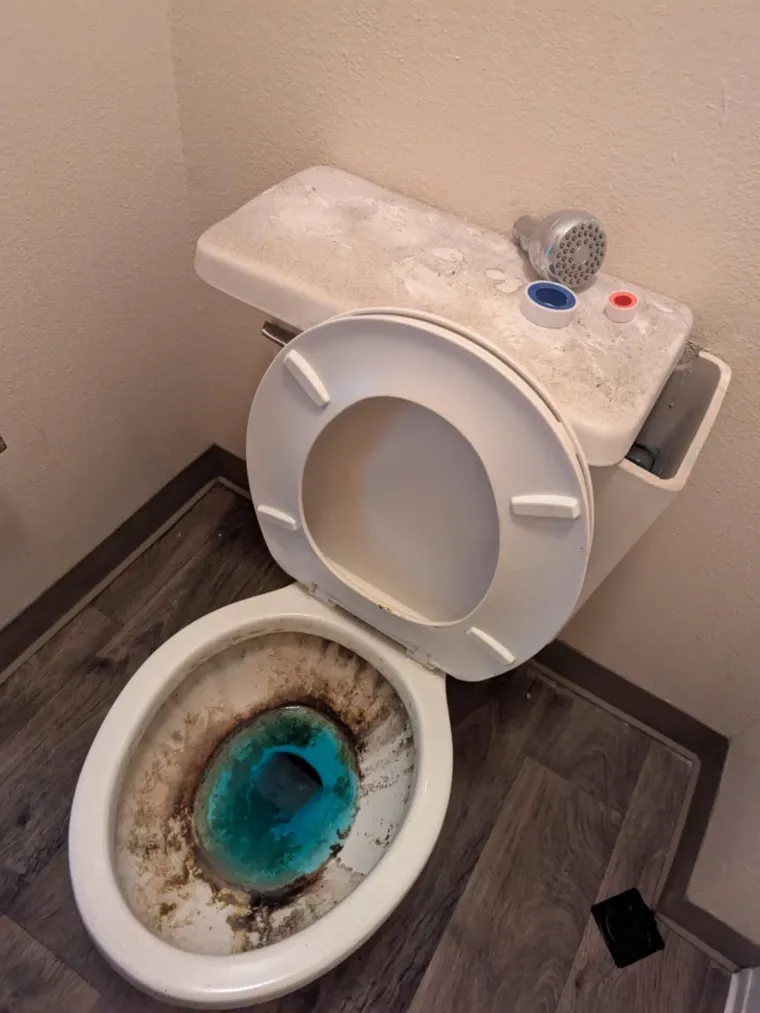 Čišćenje WC-a, zar to netko radi? Dame i gospodo, ako ste dogurali do ove fotografije, dopustite da vam predstavimo &quot;černobilsku školjku&quot;.
